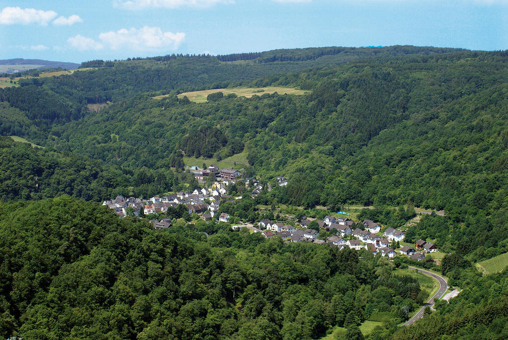 Landhotel Weinhaus Treis Weinähr Eksteriør billede